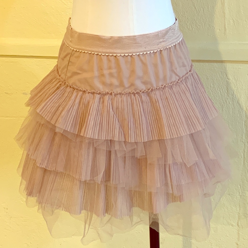 Bcbg tulle skirt - beyond cute